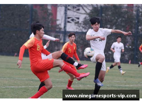 球员重伤：职业体育界的沉重警钟