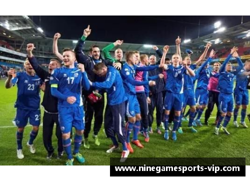 冰岛足球风云：实力球员的崛起与挑战