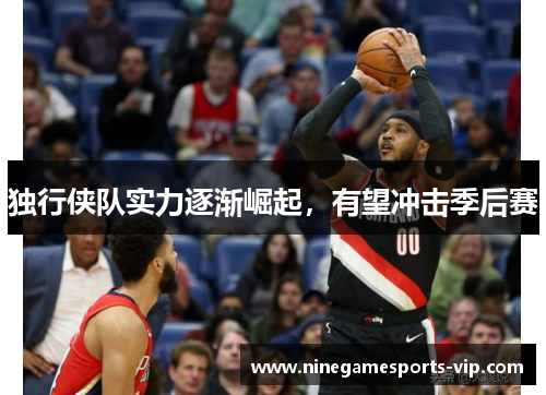 独行侠队实力逐渐崛起，有望冲击季后赛